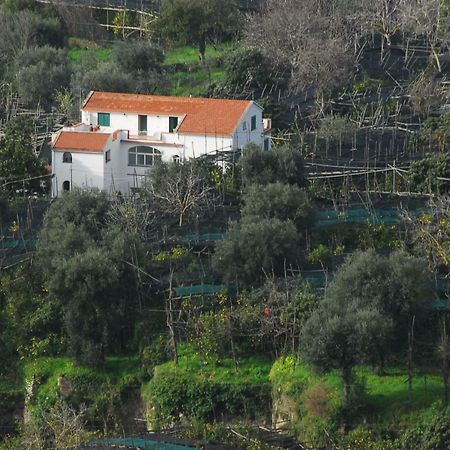 Azienda Agricola Veniero Piano di Sorrento Buitenkant foto