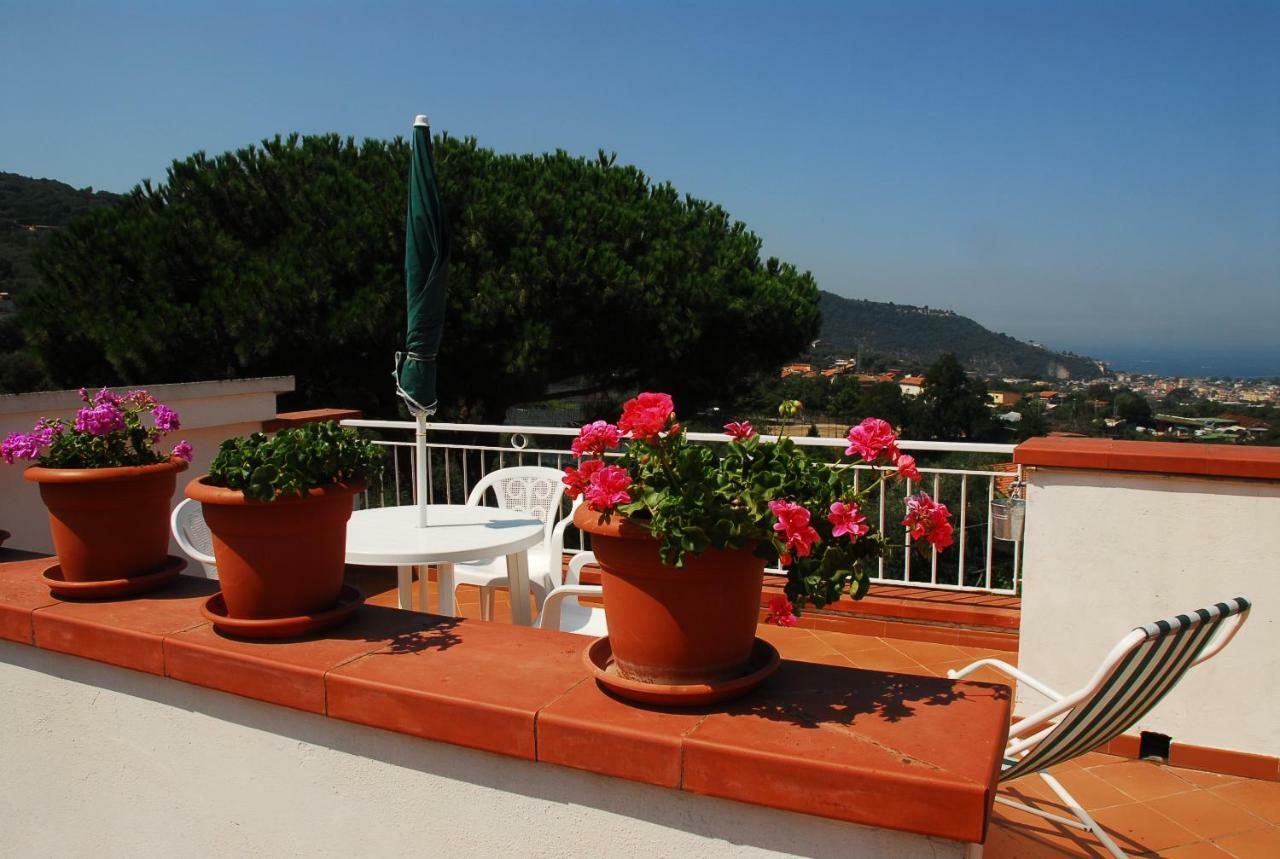 Azienda Agricola Veniero Piano di Sorrento Buitenkant foto