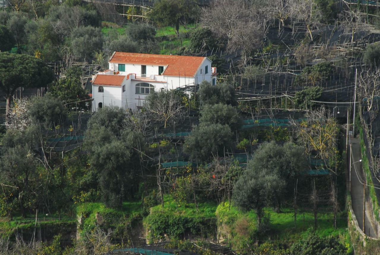 Azienda Agricola Veniero Piano di Sorrento Buitenkant foto